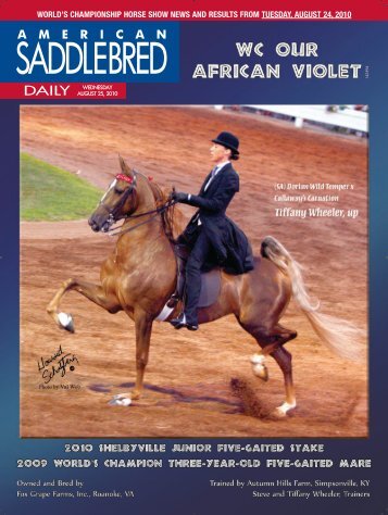 SADDLEBRED - American Saddlebred Horse Association