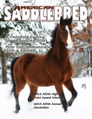 Download - American Saddlebred Horse Association