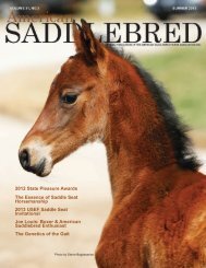 Download - American Saddlebred Horse Association