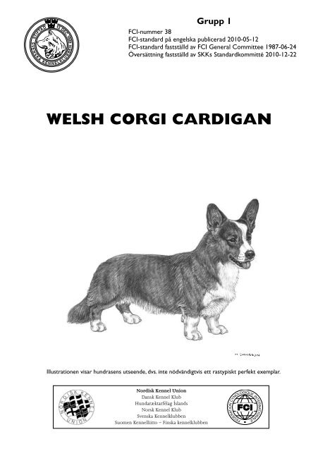 Standard fÃ¶r welsh corgi cardigan - SWCK