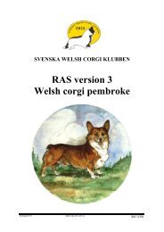 RAS version 3 Welsh corgi pembroke - Svenska Kennelklubben