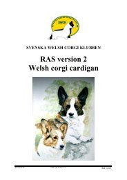 RAS version 2 Welsh corgi cardigan - Svenska Kennelklubben