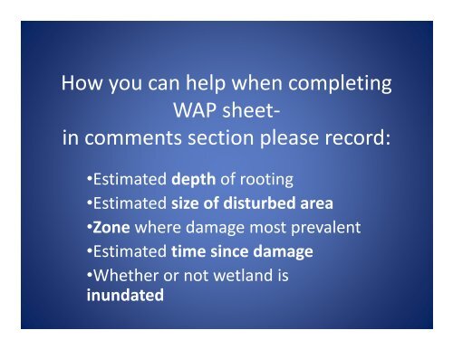 Feral Pig Disturbance Presentation - Southwest Florida Water ...