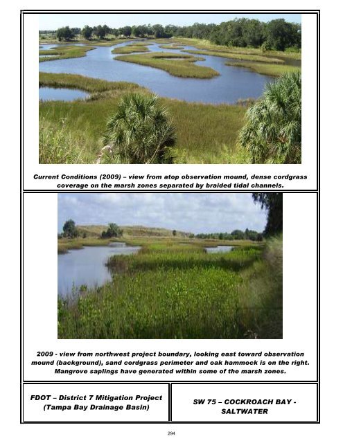 2012 FDOT Mitigation Plan - Southwest Florida Water Management ...