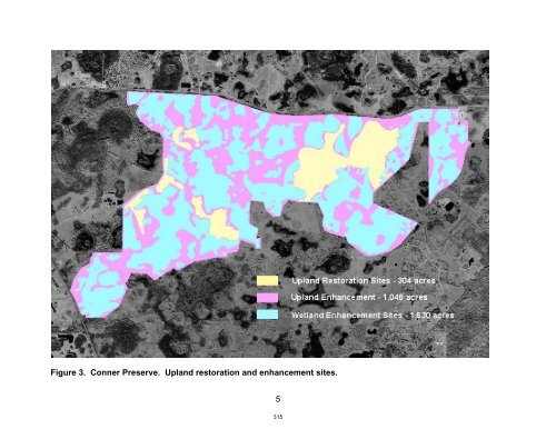 2012 FDOT Mitigation Plan - Southwest Florida Water Management ...