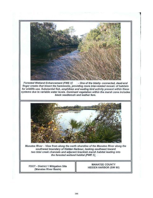 2012 FDOT Mitigation Plan - Southwest Florida Water Management ...