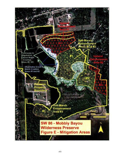 2012 FDOT Mitigation Plan - Southwest Florida Water Management ...