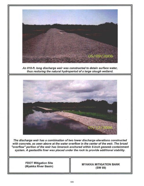 2012 FDOT Mitigation Plan - Southwest Florida Water Management ...