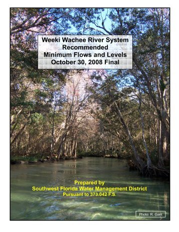 Weeki Wachee River System Recommended Minimum Flows and ...