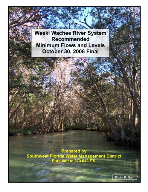 Weeki Wachee River System Recommended Minimum Flows and ...