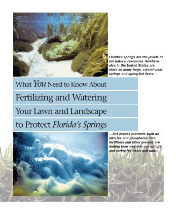 What You Need to Know About Fertilizing and Watering - Southwest ...
