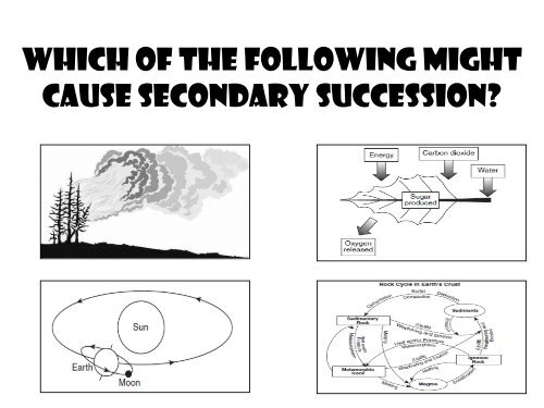 Module 11 - Ecological Succession