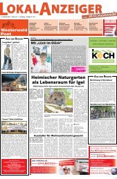 Kw 6 09 02 2013 Der Lokalanzeiger