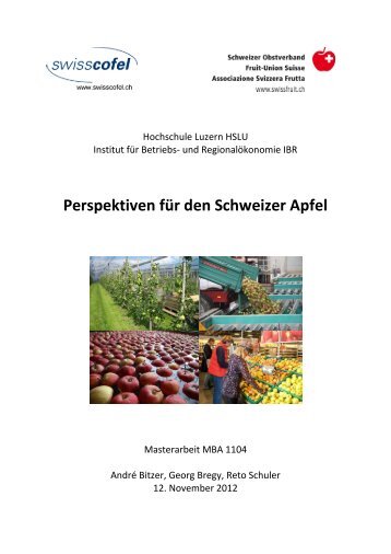 Masterarbeit MBA 1104 - Perspektiven für den Schweizer Apfel