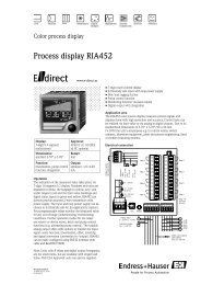 Minicap Ftc260 Endress Hauser