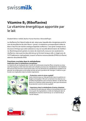 Vitamine B2 (Riboflavine). La vitamine Ã©nergÃ©tique ... - Swissmilk