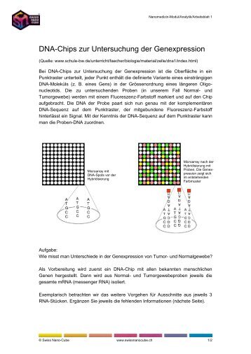Analytik Arbeitsblatt DNA-Chip - Swiss Nano Cube