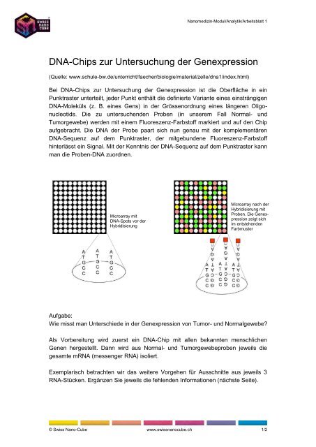 Analytik Arbeitsblatt DNA-Chip - Swiss Nano Cube