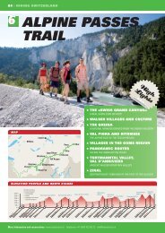 ALPINE PASSES TRAIL - SwissTrails