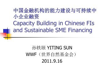 ç»¿è²ä¿¡è´·ä¸ä¸­å°ä¼ä¸èèµGreen Credit Policy and SME ... - Switch Asia