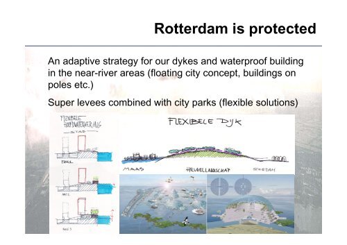 Rotterdam Water Plan - CFS08 (Jacobs) - SWITCH - Managing ...