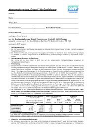 Normsondervertrag Erdgas - Stadtwerke Passau