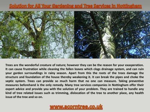 Solution for All Your Gardening and Tree Services in Nottingham