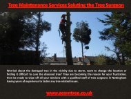 Tree Maintenance Services Saluting the Tree Surgeon