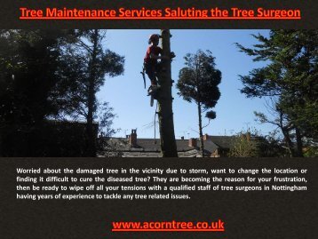 Tree Maintenance Services Saluting the Tree Surgeon
