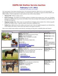 KWPN-NA Stallion Service Auction