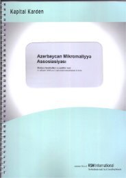 AMFA Audit Hesabatı_2009