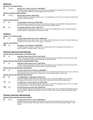 Pointers (German Wirehaired) - Foy Trent Dog Shows