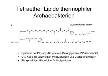 Tetraether Lipide thermophiler Archaebakterien