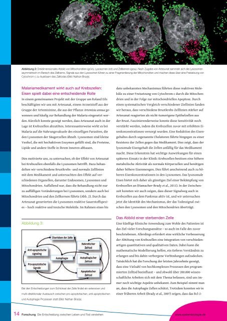 Das Magazin - Ausgabe 03 - Systembiologie