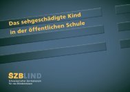 download neuste Version - SZB Schweizerischer Zentralverein fÃ¼r ...