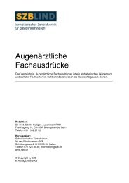 download - SZB Schweizerischer Zentralverein fÃ¼r das Blindenwesen