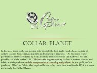 Designer Martingale Dog Collars