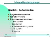 Softwarearten - Torsten E. Neck