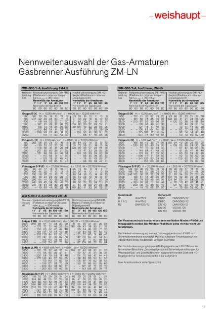 WM30 für Öl, Gas und Zweistoff