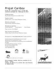 Projet Caribou - Taiga Net