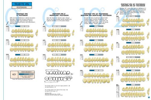 IPN® Teeth Mould Chart IPN® Teeth Mould Chart - Removable ...