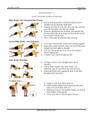 Pillar Bridge with Alternating Hip Flexion: â¢ Start in push-up position ...