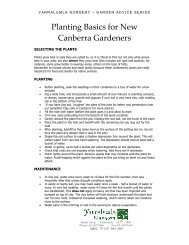 Planting Basics for New Canberra Gardeners