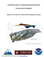 Construction of tsunami inundation maps in the Gulf of Mexico