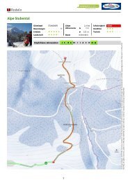 Rodeln Alpe Stubental - Tannheimer Tal