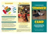 Flyer-Nikita (PDF) - Saarländischer Landesverband für Tanzsport e.V.