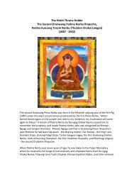 Second Drubwang Pedma Norbu Bio - Kunzang Palyul Chöling