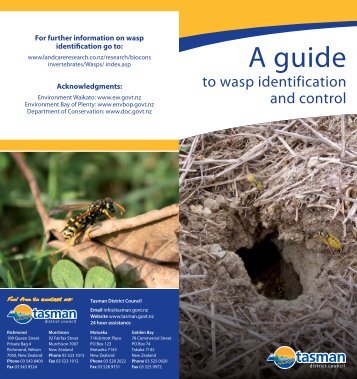 A Guide to Wasp Identification and Control - Tasman District Council