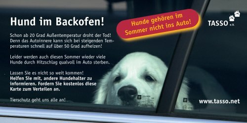 Karte Hund im Backofen - TASSO eV