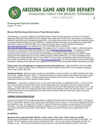 AZGFD Wolf Recovery Update Aug 2014